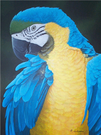 12 X 16 Portrait by R. LaLuzerne